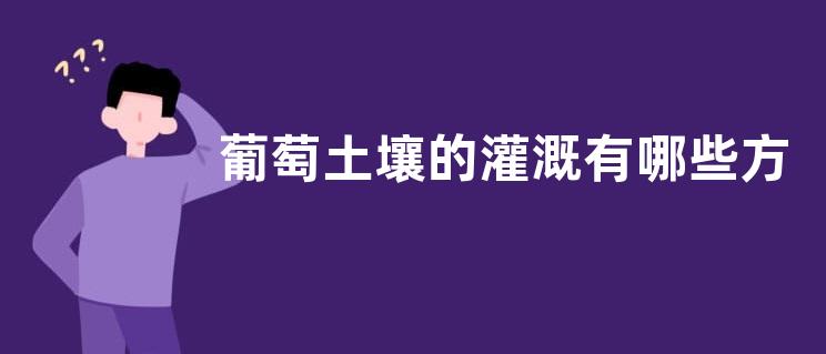 葡萄土壤的灌溉有哪些方法？
