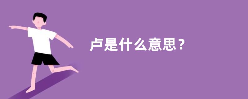 卢是什么意思？