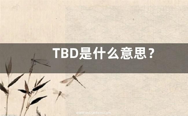 TBD是什么意思？