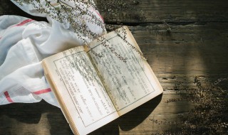 衤和礻字旁有何区别 衤和礻字旁有什么不同