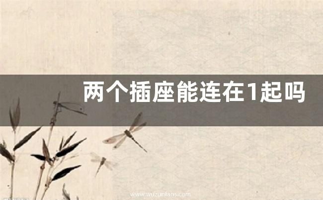 两个插座能连在1起吗