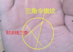 三角令旗纹是什么手相(3角令旗纹是甚么)