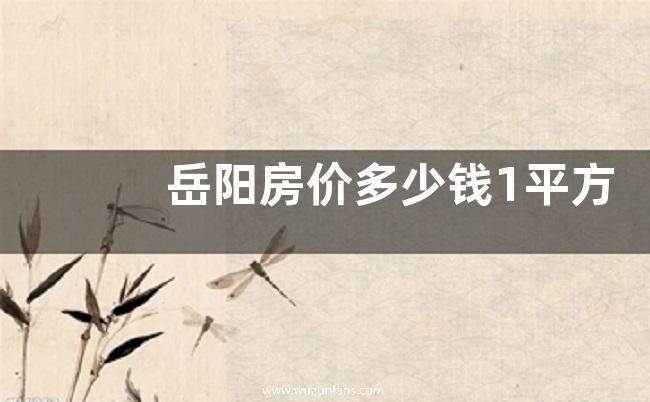 岳阳房价多少钱1平方