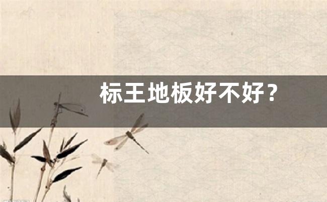标王地板好不好？