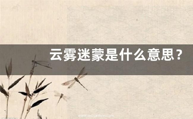 云雾迷蒙是什么意思？