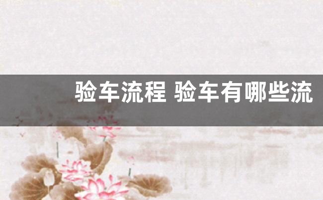 验车流程 验车有哪些流程