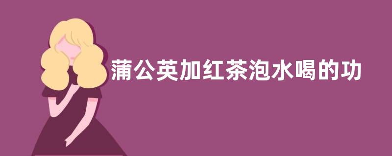 蒲公英加红茶泡水喝的功效 蒲公英加红茶泡水喝有甚么功效