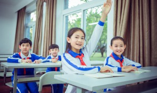 小鸟英语怎么说 小鸟翻译成英文