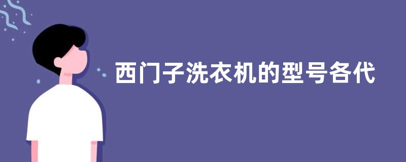 西门子洗衣机的型号各代表甚么含义？