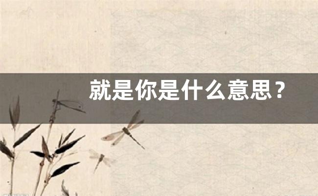就是你是什么意思？
