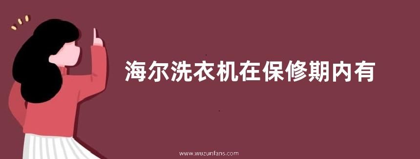 海尔洗衣机在保修期内有免费清洗服务吗