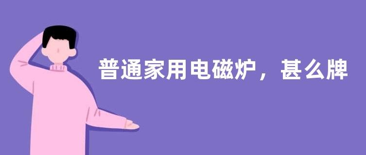 普通家用电磁炉，甚么牌子的好？价格？