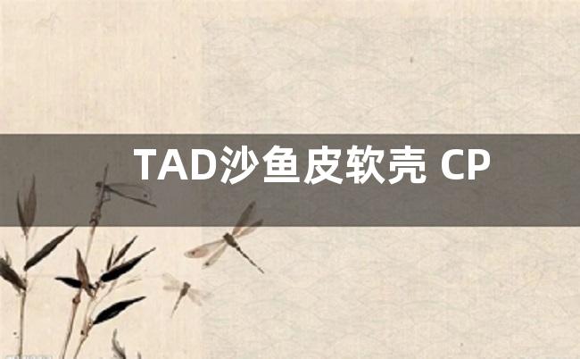 TAD沙鱼皮软壳 CP迷彩色的好吗