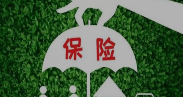 保险是不是一种骗局（不是）