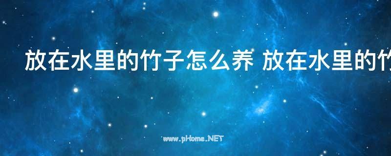 放在水里的竹子怎么养 放在水里的竹子的培养方法