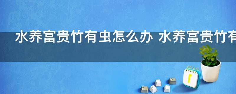水养富贵竹有虫怎么办 水养富贵竹有虫如何处理