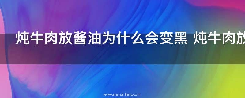 炖牛肉放酱油为什么会变黑 炖牛肉放酱油会黑的原因