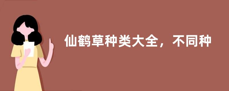 屎壳郎种类，不同的种类分布范围和外形均不同