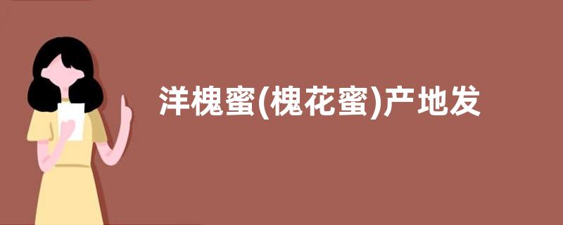 洋槐蜜(槐花蜜)产地发布，营养价值有哪些