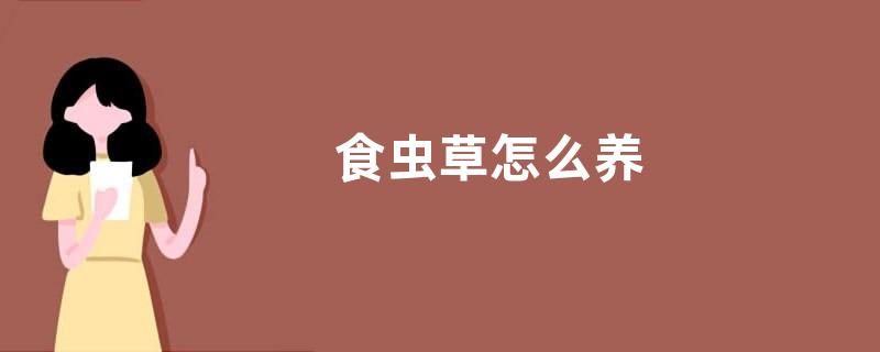 东北人常说的辣根是什么？种一亩地能产多少斤