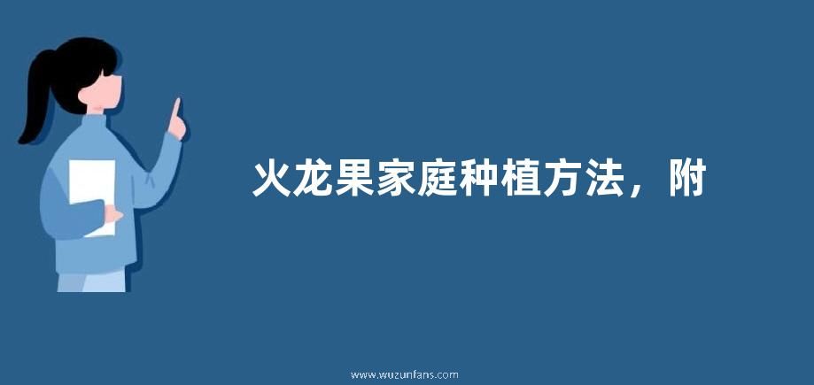 火龙果家庭种植方法，附种植管理技术
