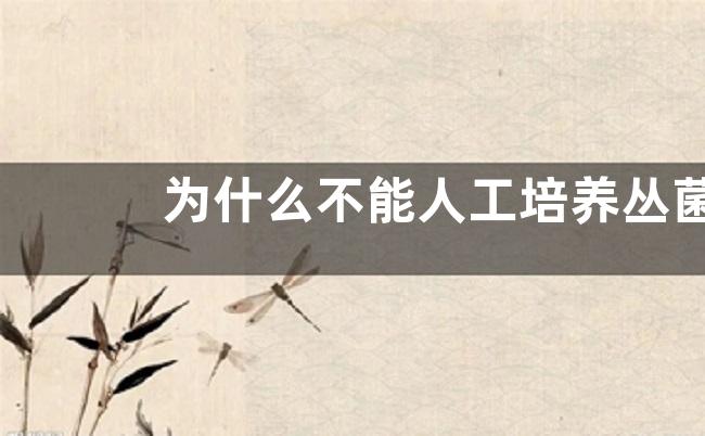 为什么不能人工培养丛菌