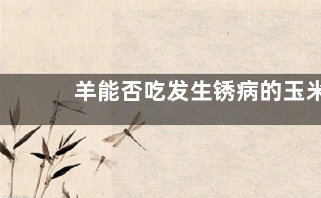 羊能否吃发生锈病的玉米秸秆