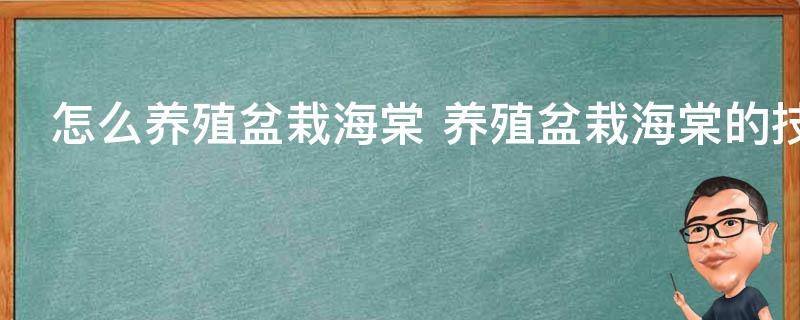 怎么养殖盆栽海棠 养殖盆栽海棠的技巧