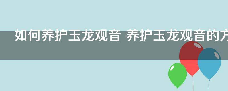 如何养护玉龙观音 养护玉龙观音的方法