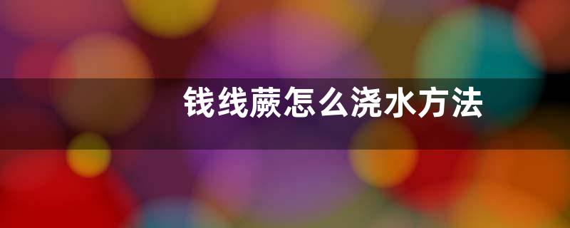 钱线蕨怎么浇水方法