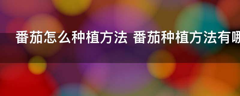 番茄怎么种植方法 番茄种植方法有哪些