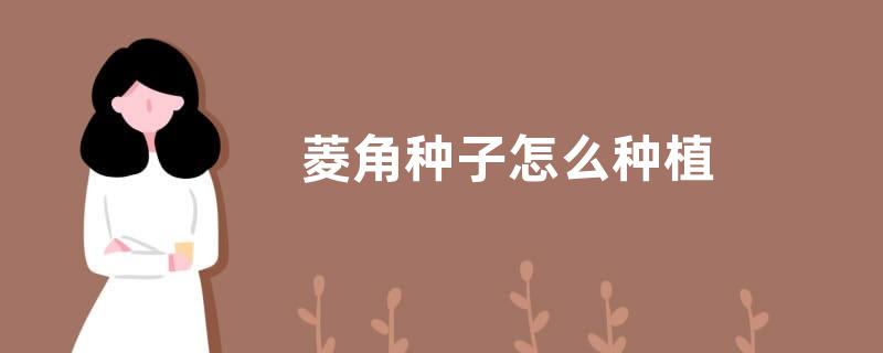 “方差型选手”是什么意思？