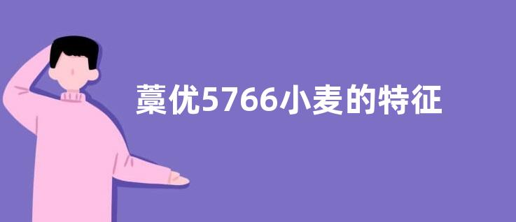 藁优5766小麦的特征特性
