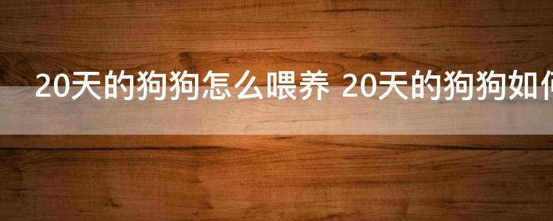 20天的狗狗怎么喂养 20天的狗狗如何喂养