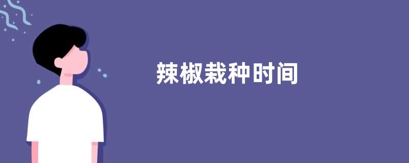 辣椒栽种时间