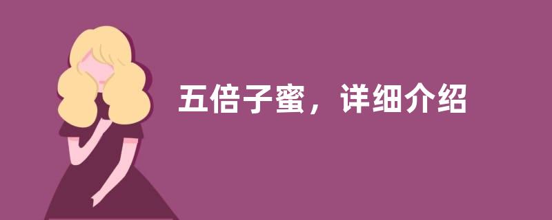 五倍子蜜，详细介绍
