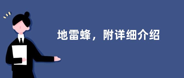 地雷蜂，附详细介绍