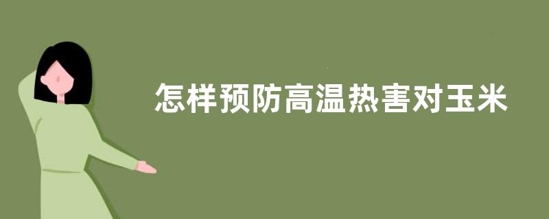 怎样预防高温热害对玉米的影响（高温干旱对玉米产量影响）