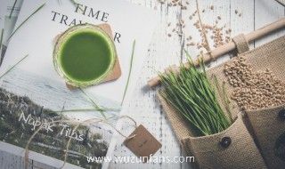 小麦叶尖发黄干枯是什么原因 小麦叶尖发黄干枯是哪些原因