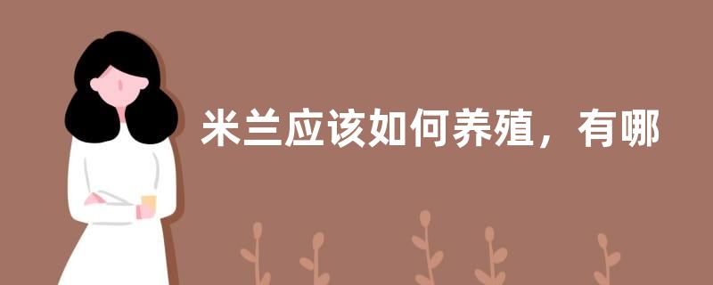 米兰应该如何养殖，有哪些注意事项