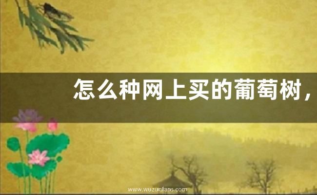 怎么种网上买的葡萄树，附葡萄疏果、疏花、疏穗方法