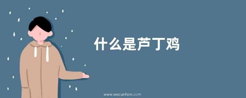 什么是芦丁鸡