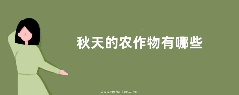 秋天的农作物有哪些
