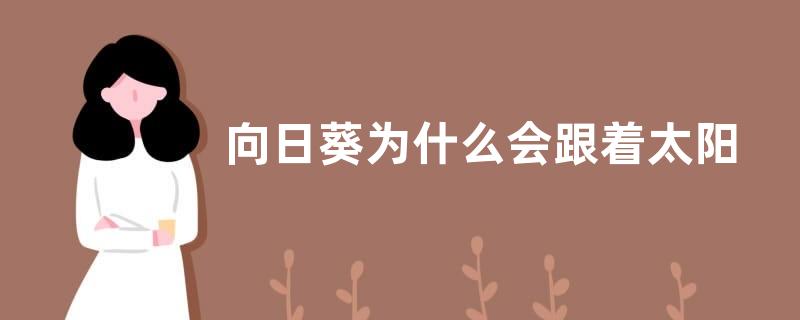 向日葵为什么会跟着太阳转动（向日葵随着太阳转动的原因）