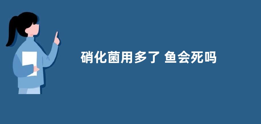 硝化菌用多了 鱼会死吗