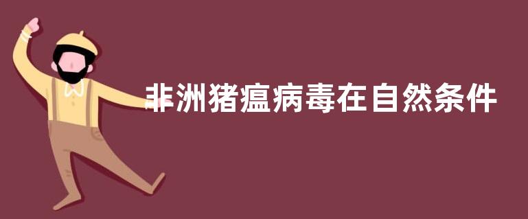 非洲猪瘟病毒在自然条件下存活多长时间