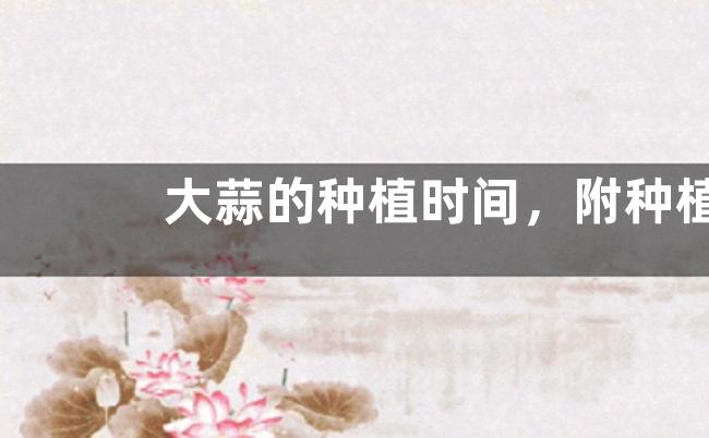 大蒜的种植时间，附种植技术要点