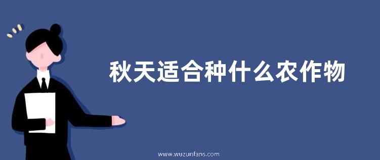 隐翅虫一般会在什么地方出现