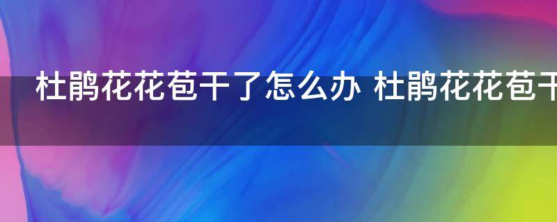 杜鹃花花苞干了怎么办 杜鹃花花苞干了如何办