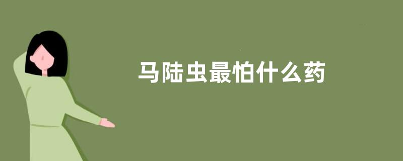 马陆虫最怕什么药